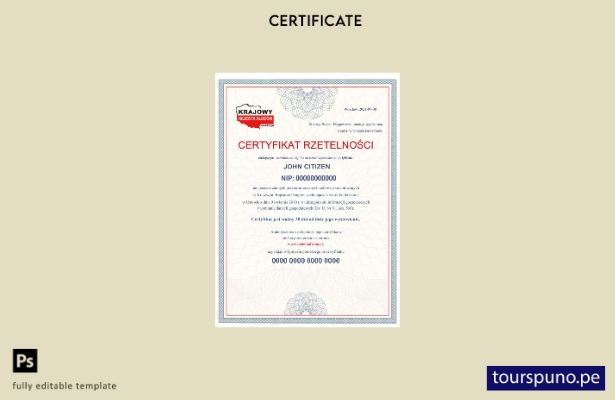 Plantilla de certificado comercial de Polonia lista para imprimir